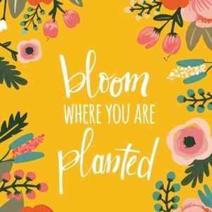 Meet your Posher, Alyssa